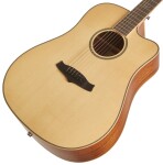 Tanglewood TP5 SE