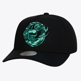 Mitchell & Ness Pánská kšiltovka Vancouver Grizzlies NBA 404 Club Camo Pro Snapback Hardwood Classics