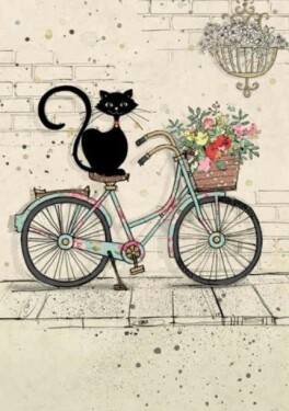 Přání BUG ART - Kočka na kole
