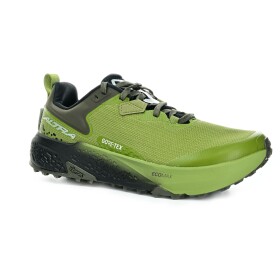 Altra Timp 6 GTX Iguana/Silver/Tarmac pánské
