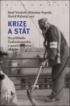 Krize a stát - Emil Voráček, kolektiv autorů, Miroslav Šepták, David Hubený