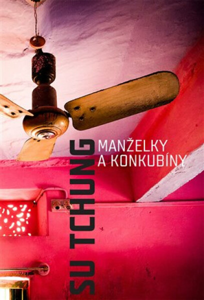 Manželky a konkubíny (poškozená) - Su Tchung