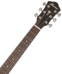 Ibanez AEG220S Natural