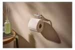 HANSGROHE - AddStoris S Držák toaletního papíru, chrom 41788000