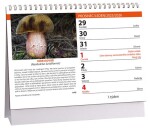 Stolní kalendář ARIA 2026 - Houby