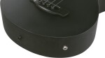 Ibanez AEGB420 BOT