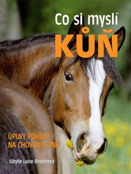 Co si myslí kůň: Úplný pohled na chování koně - Sibylle Luise Binder