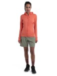 ICEBREAKER Wmns Merino 260 Quantum IV LS Zip Hoodie, Tang velikost: XS