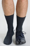 Pánské ponožky Regina Socks Purista Antybakteriální Froté šedá 39-42