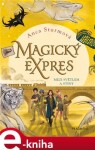 Magický expres Mezi světlem stíny Anca Sturmová