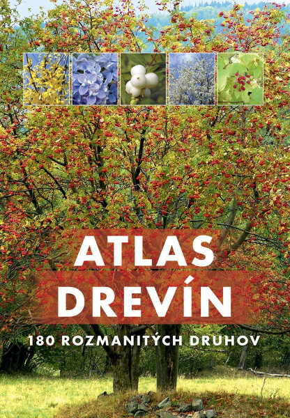 Atlas drevín - Aleksandra Halarewicz