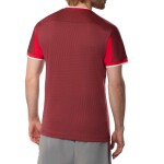 Tenisové tričko Mizuno Stargazer Shadow Graphic Short Sleeve Tee 62GAD00363 Velikost textilu: XXL