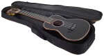Ortega RUOX-CC