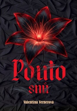Pouto snů - Soňa Daniecová