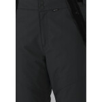 Pánské lyžařské kalhoty Whistler Drizzle M Ski Pant W-Pro 10000 - velikost XXL