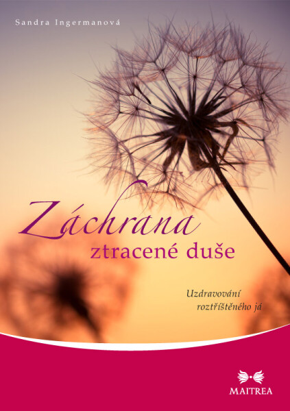 Záchrana ztracené duše - Sandra Ingermanová