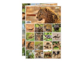 Pexeso africká abeceda Pexeso africká abeceda