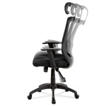 Kancelářská židle, synchronní mechanismus, černá síťovina, KA-A186 BK