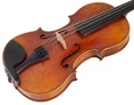 Vienna Violin Violine Pinus Vintage 4/4