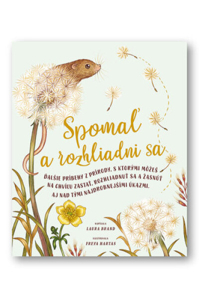 Spomaľ rozhliadni sa
