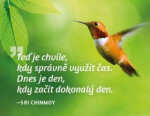 Magnet na lednici - Teď je chvíle, kdy správně využít čas. Dnes je den, kdy začít dokonalý den. - Sri Chinmoy