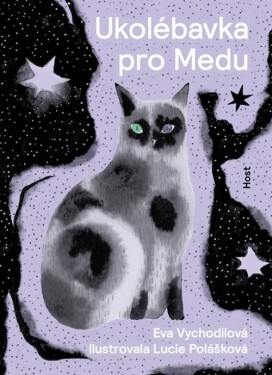 Ukolébavka pro Medu - Eva Vychodilová