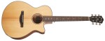 Ibanez AEG200-LGS - Natural Low Gloss