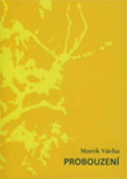 Probouzení - Marek Orko Vácha