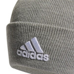 Čepice adidas Logo Woolie HL4811 OSFM