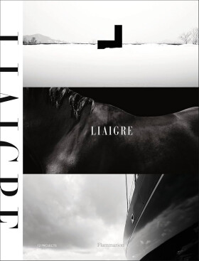 Liaigre: 12 Projects - Christian Liaigre