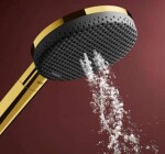 HANSGROHE - Raindance Alive Select S Sprchová hlavice, 3 proudy, EcoSmart, leštěný vzhled zlata 24511990