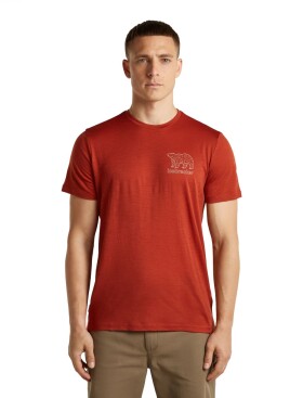Pánské merino triko krátký rukáv ICEBREAKER Mens Merino 150 Tech Lite SS Tee Forest Footsc, Agate velikost: L