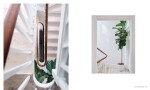 Kniha – A New Leaf, Curated Homes Where Houseplants Meet Design, zelená barva, papír