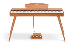 DONNER DDP-80
