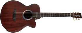 Tanglewood TE4CE BL