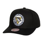 Mitchell & Ness Pánská kšiltovka Pittsburgh Penguins NHL Team Ground 2.0 Pro Snapback