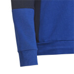 Mikina adidas Colourblock Hoodie Jr HG6826