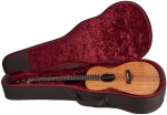 Taylor JCSM-6 Jacob Collier