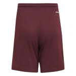 Squadra 21 Short Jr GN8081 Adidas