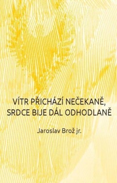 Vítr přichází nečekaně, srdce bije dál odhodlaně Jaroslav Brož