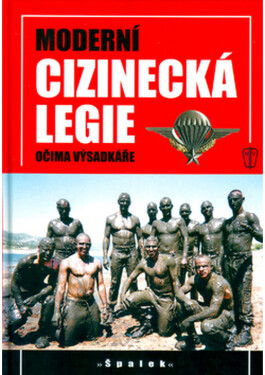 Moderní cizinecká legie
