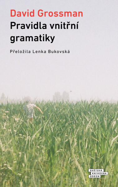 Pravidla vnitřní gramatiky - David Grossman