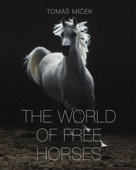 The World of Free Horses - Tomáš Míček