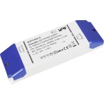BIG WHITE (SLV) Můstkový LED driver 42 W, 500 mA pro NUMINOS®, včetně radiofrekvenčního rozhraní pro modul RF, DALI 1006459