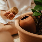 PEPIN Nádoba pro zavlažování rostlin Olla Terracotta 250 ml, přírodní barva, keramika