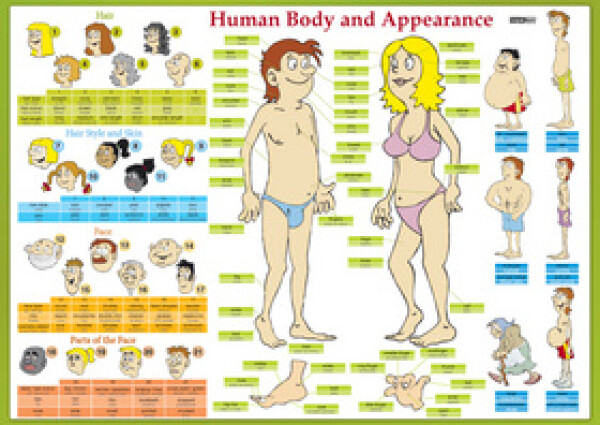Human Body and Appearance
