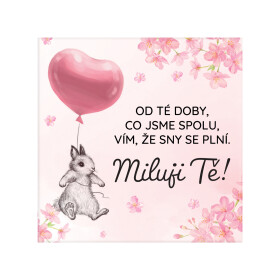 Magnetka - Miluji Tě - Albi
