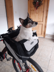 Černý košík na kolo pro psa | do 5 Kg