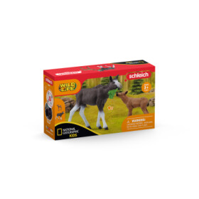 Schleich Wild Life 42603 Los s mládětem