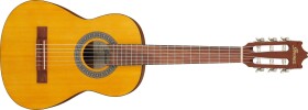 Ibanez GA1 Amber